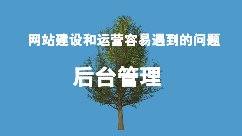 網(wǎng)站建設(shè)和運(yùn)營(yíng)容易遇到哪些問(wèn)題